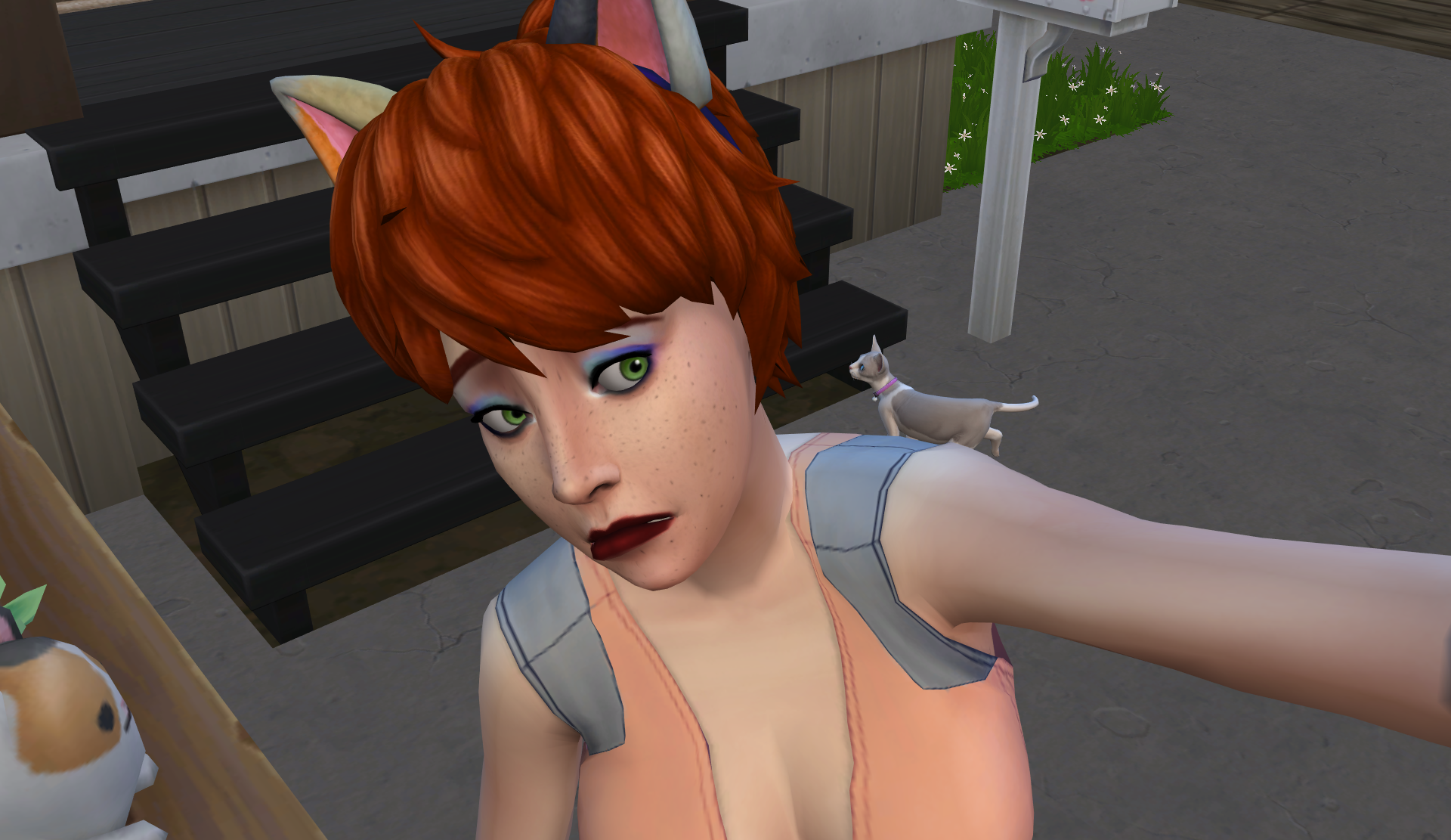 Catarina Lynx